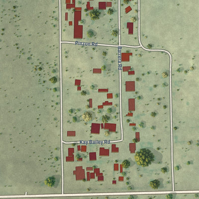 Close-up of the map of San Carlos II, Texas print showing street and building detail