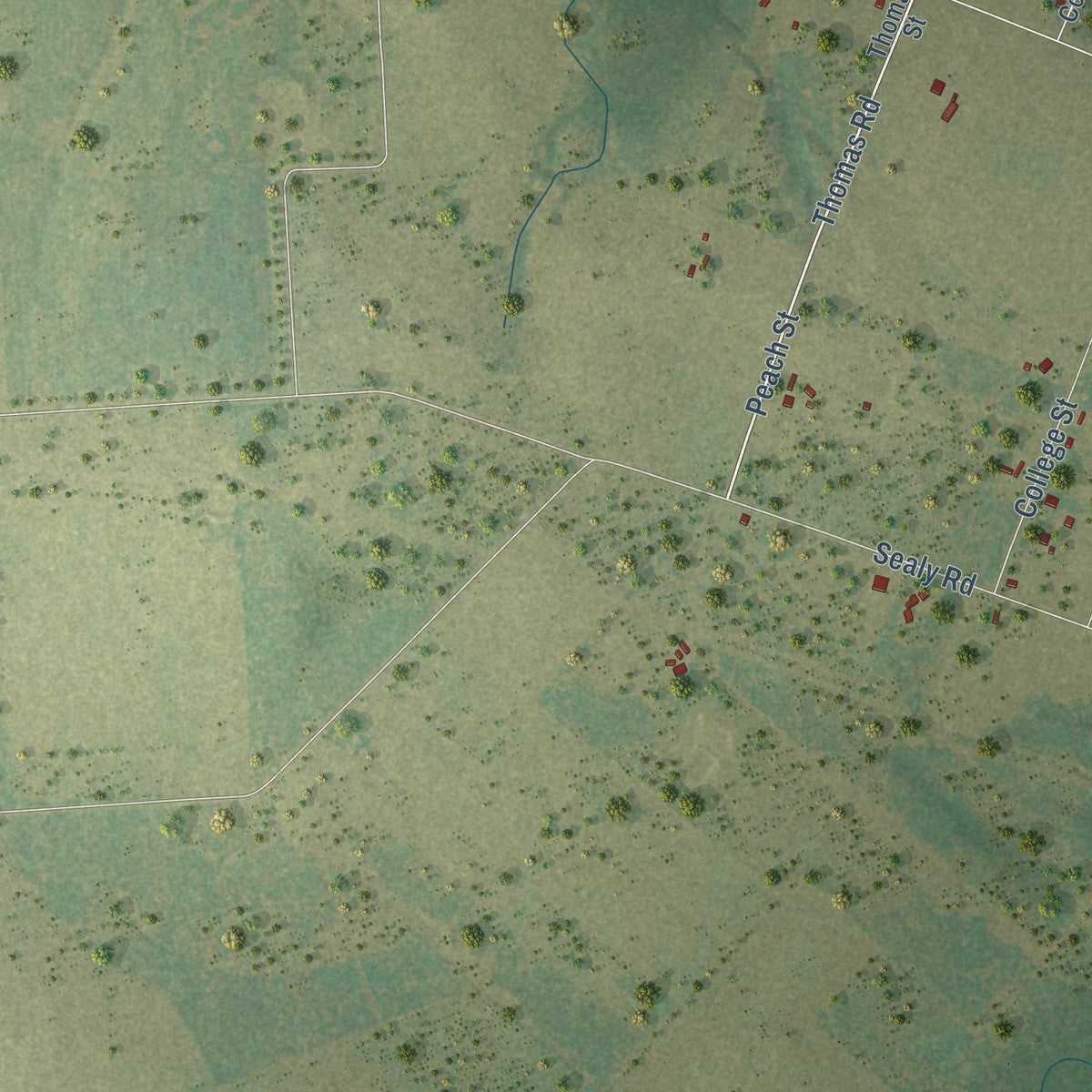 Second close-up of the map of San Felipe, Texas print showing more streets and buildings