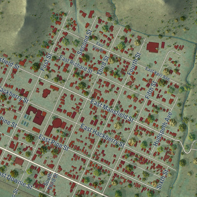 Close-up of the map of Sanderson, Texas print showing street and building detail