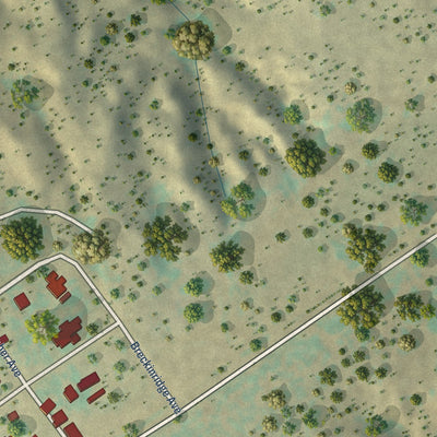 Second close-up of the map of Sanford, Texas print showing more streets and buildings