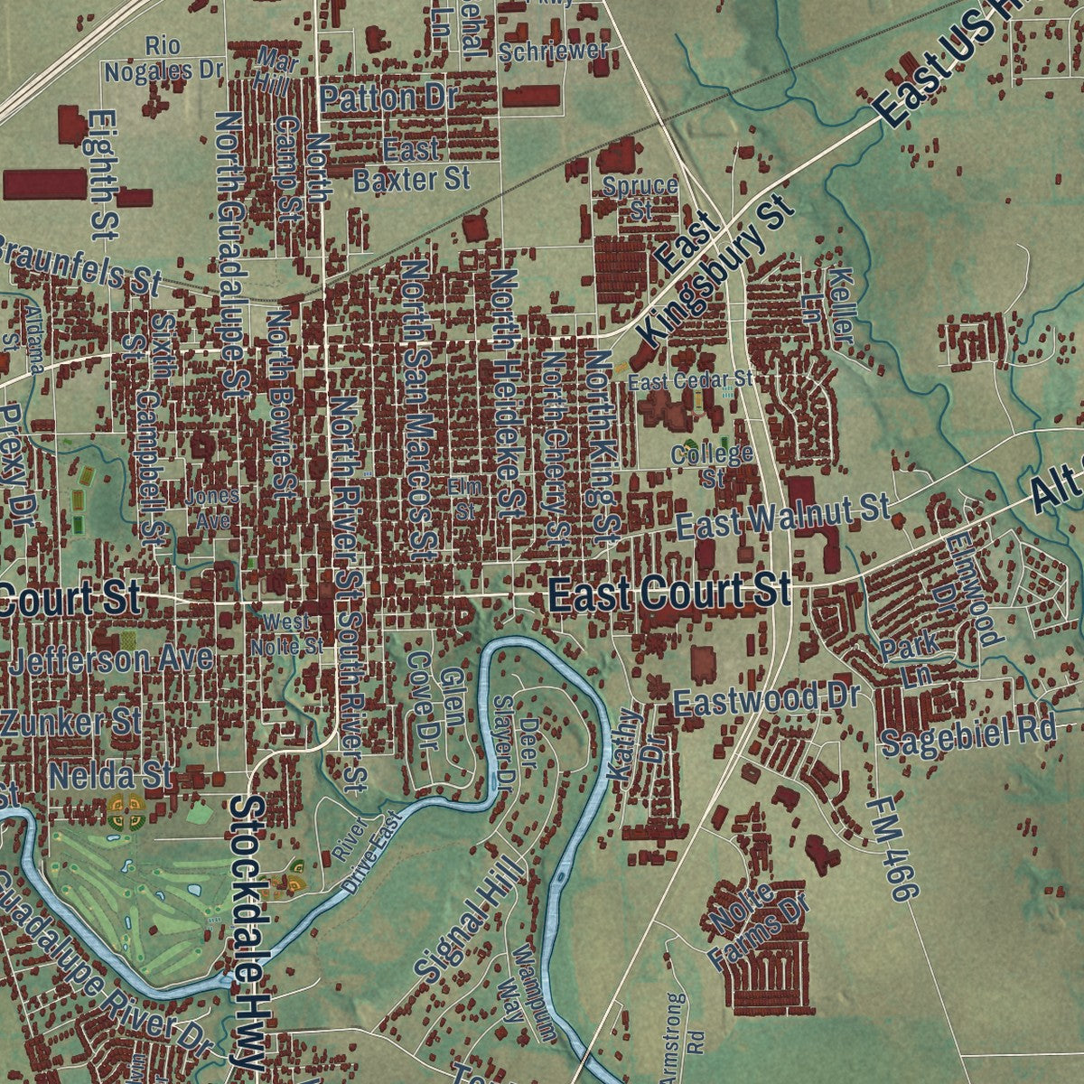 Close-up of the map of Seguin, Texas print showing street and building detail