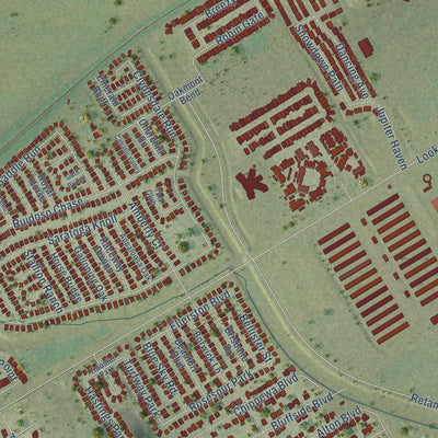 Close-up of the map of Selma, Texas print showing street and building detail