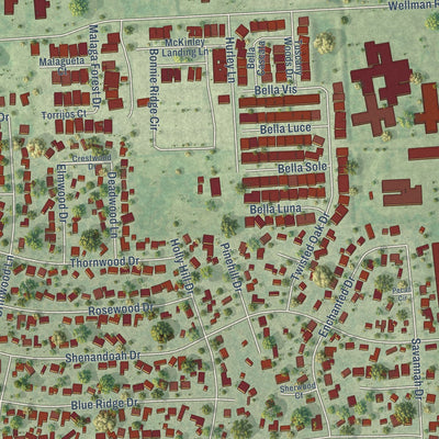Close-up of the map of Shenandoah, Texas print showing street and building detail