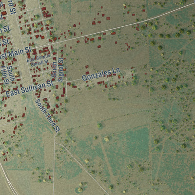 Close-up of the map of Skidmore, Texas print showing street and building detail