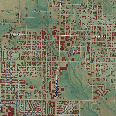Close-up of the map of Snyder, Texas print showing street and building detail