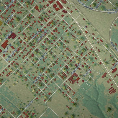 Close-up of the map of Somerville, Texas print showing street and building detail
