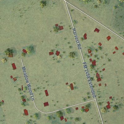 Close-up of the map of South Frydek, Texas print showing street and building detail