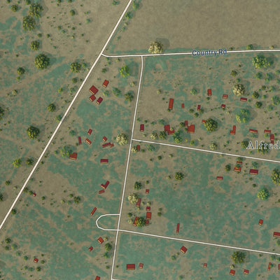 Close-up of the map of South La Paloma, Texas print showing street and building detail
