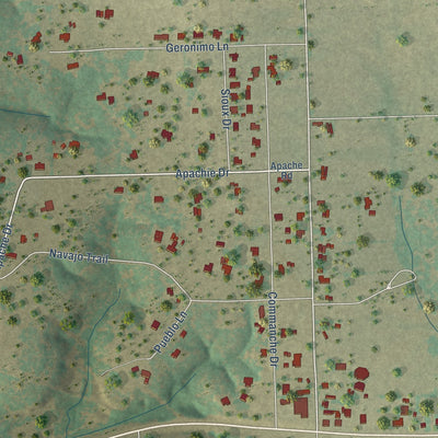 Close-up of the map of South Mountain, Texas print showing street and building detail