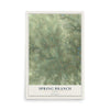 Map of Spring Branch, Texas, 12 x 18 inch unframed archival matte print