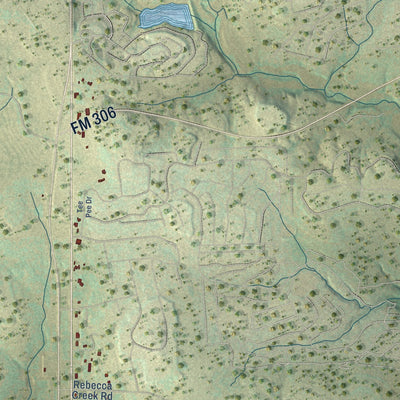 Close-up of the map of Spring Branch, Texas print showing street and building detail