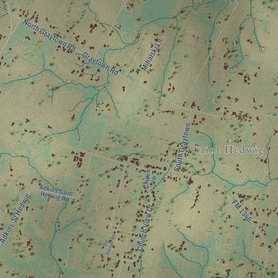 Close-up of the map of St. Hedwig, Texas print showing street and building detail