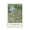 Map of Sulphur Springs, Texas, 12 x 18 inch unframed archival matte print
