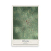 Map of Tenaha, Texas, 12 x 18 inch unframed archival matte print