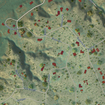 Close-up of the map of Timbercreek Canyon, Texas print showing street and building detail