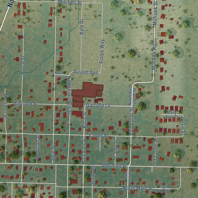 Close-up of the map of Tioga, Texas print showing street and building detail