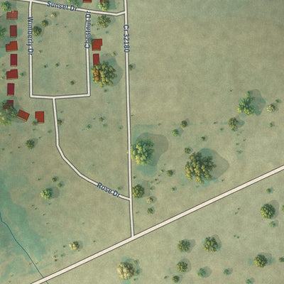 Close-up of the map of Toco, Texas print showing street and building detail