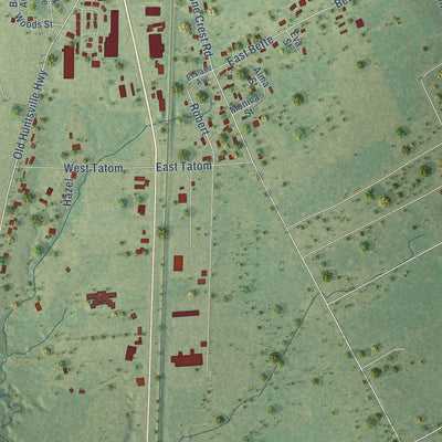 Second close-up of the map of Trinity, Texas print showing more streets and buildings