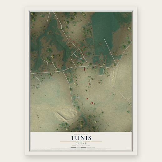 Tunis, Texas map print, the full design