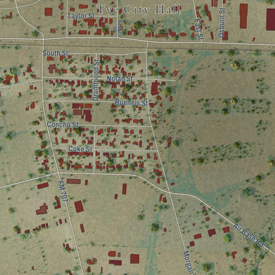 Close-up of the map of Tye, Texas print showing street and building detail