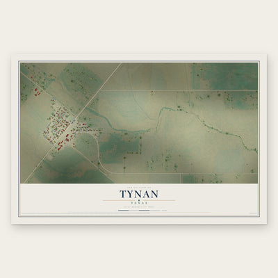 Tynan, Texas map print, the full design
