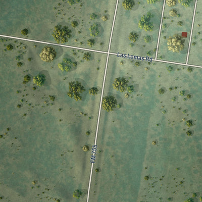 Close-up of the map of Valle Hermoso, Texas print showing street and building detail