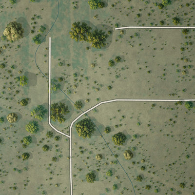 Close-up of the map of Valle Verde, Texas print showing street and building detail