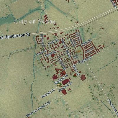 Close-up of the map of Venus, Texas print showing street and building detail