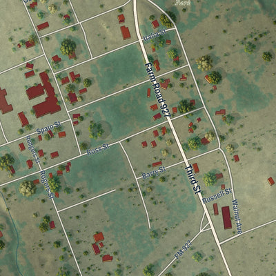 Second close-up of the map of Walnut Springs, Texas print showing more streets and buildings