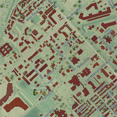 Close-up of the map of Webster, Texas print showing street and building detail