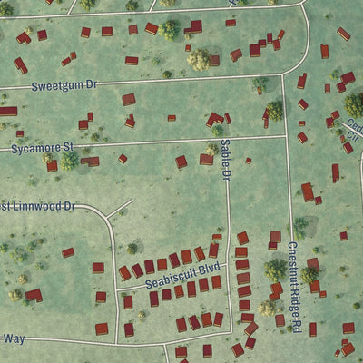 Close-up of the map of Woodbranch, Texas print showing street and building detail