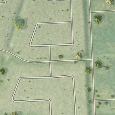 Close-up of the map of Woodloch, Texas print showing street and building detail