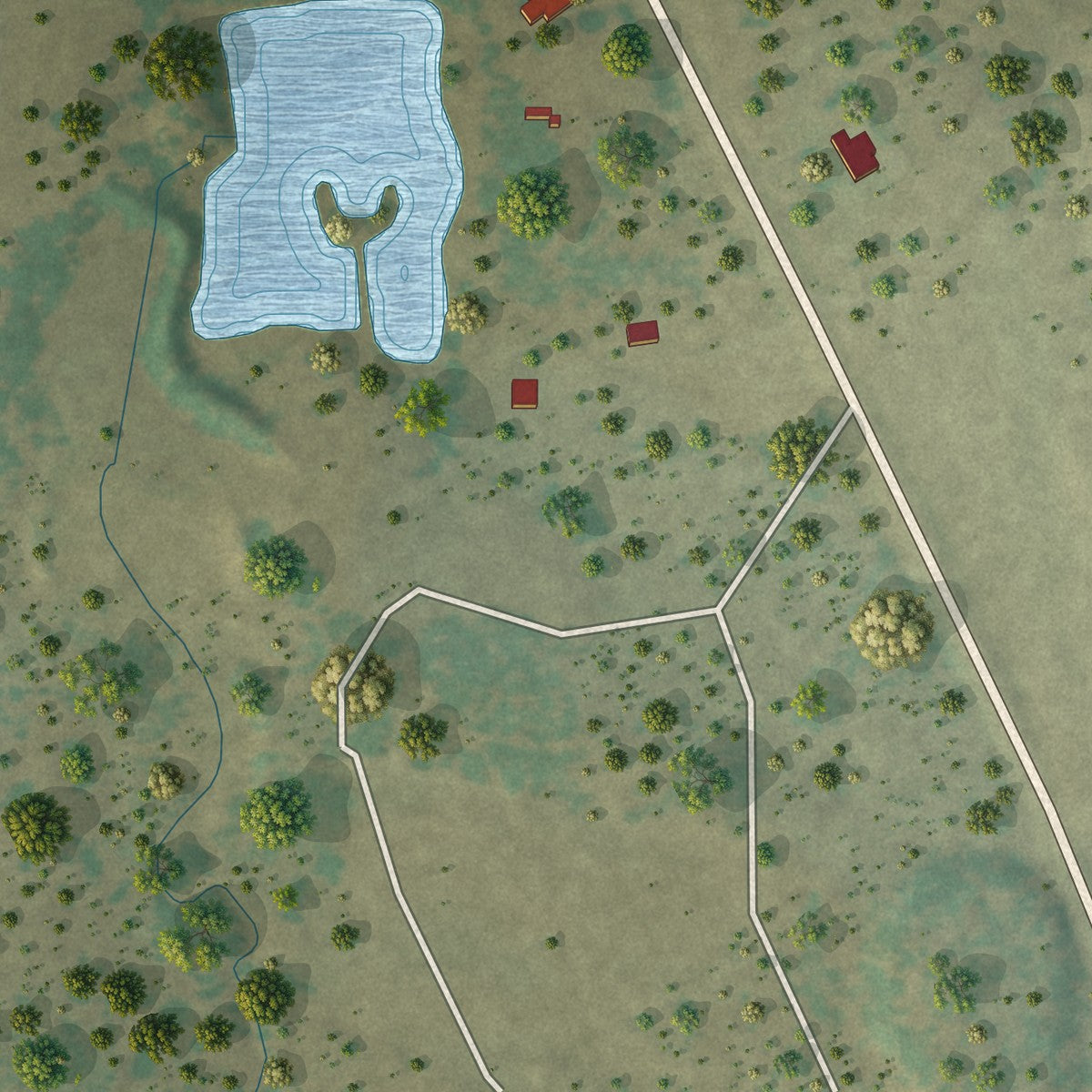 Second close-up of the map of Woodson, Texas print showing more streets and buildings