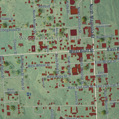 Close-up of the map of Woodville, Texas print showing street and building detail