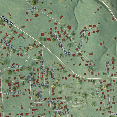 Second close-up of the map of Woodville, Texas print showing more streets and buildings