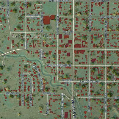 Close-up of the map of Salina, Utah print showing street and building detail
