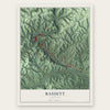 Bassett, Virginia map print, the full design
