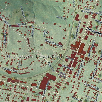 Close-up of the map of Blackstone, Virginia print showing street and building detail
