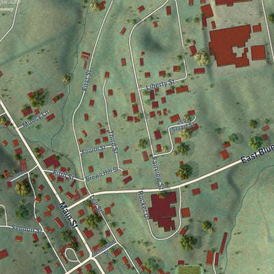 Close-up of the map of Bland, Virginia print showing street and building detail