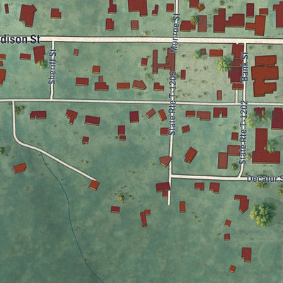 Close-up of the map of Boydton, Virginia print showing street and building detail