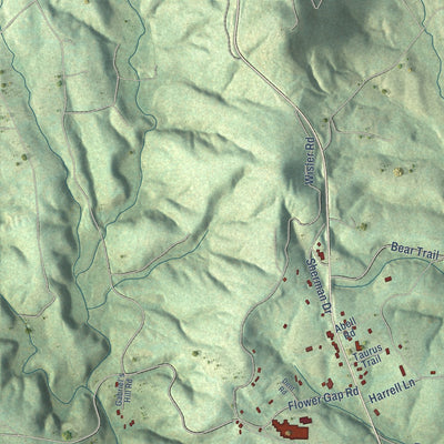 Close-up of the map of Cana, Virginia print showing street and building detail