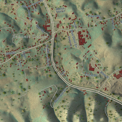 Close-up of the map of Castlewood, Virginia print showing street and building detail