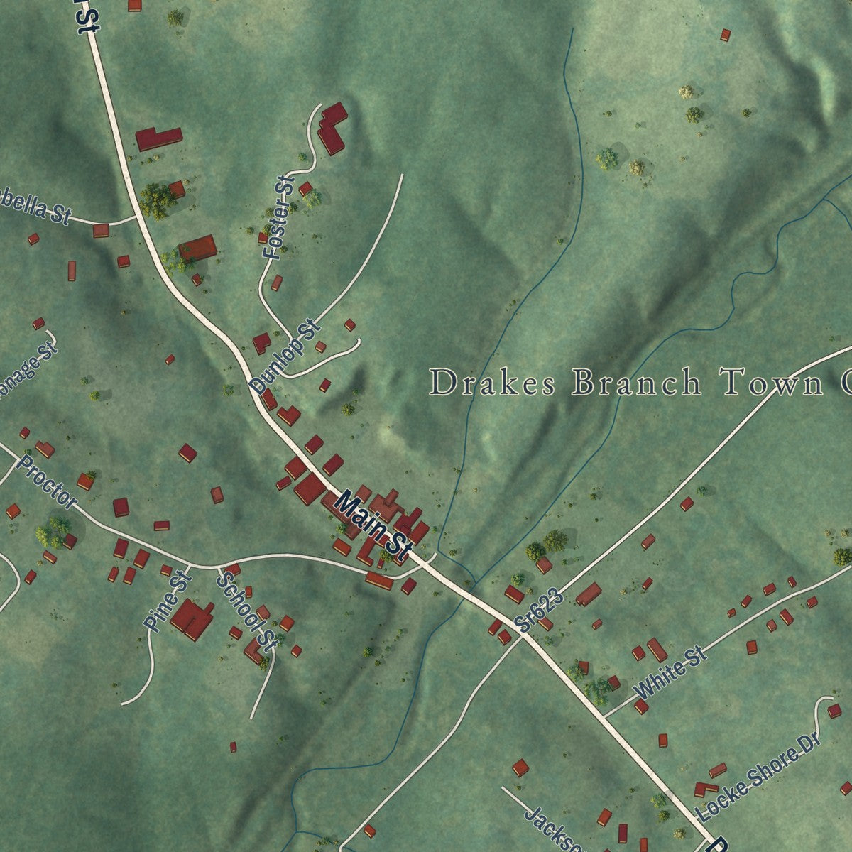 Close-up of the map of Drakes Branch, Virginia print showing street and building detail