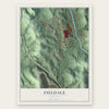 Fieldale, Virginia map print, the full design