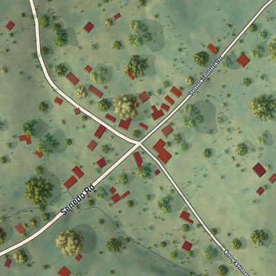 Close-up of the map of Forestville, Virginia print showing street and building detail