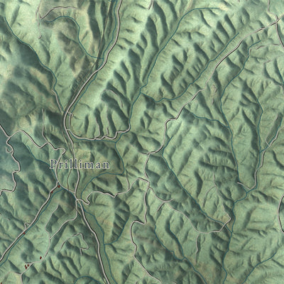Close-up of the map of Henry, Franklin County, Virginia print showing street and building detail