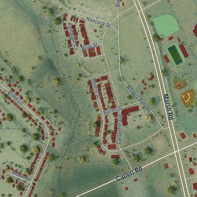 Close-up of the map of Liberty, Virginia print showing street and building detail