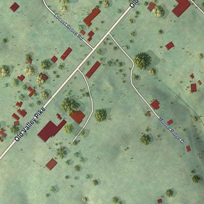Close-up of the map of Locust Grove, Virginia print showing street and building detail