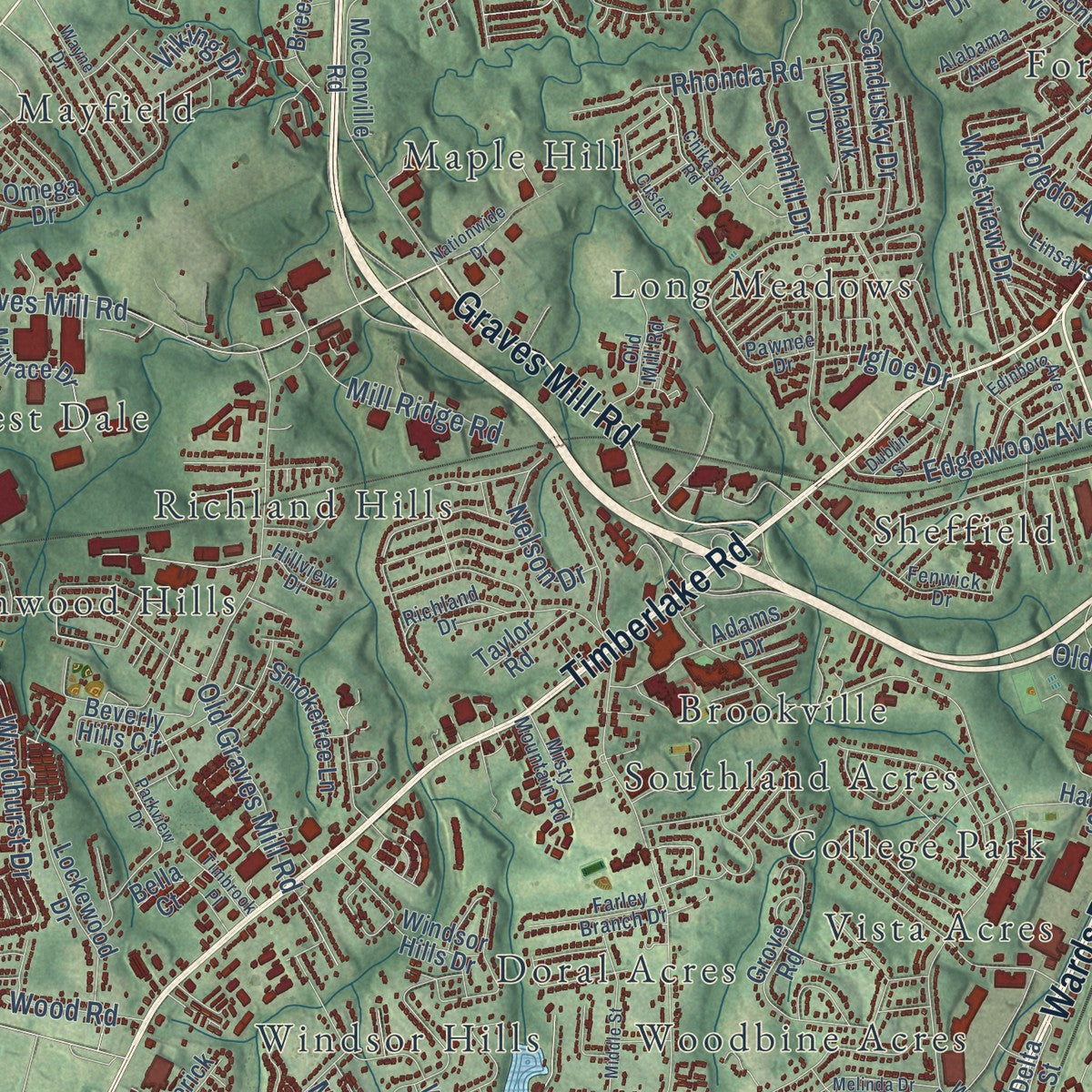 Close-up of the map of Lynchburg, Virginia print showing street and building detail