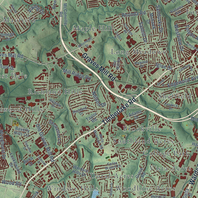 Close-up of the map of Lynchburg, Virginia print showing street and building detail